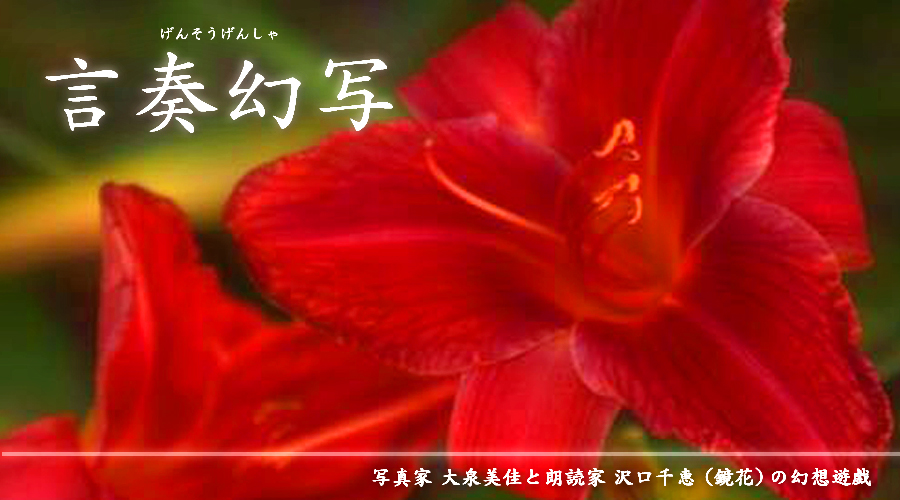 言奏幻写 Website